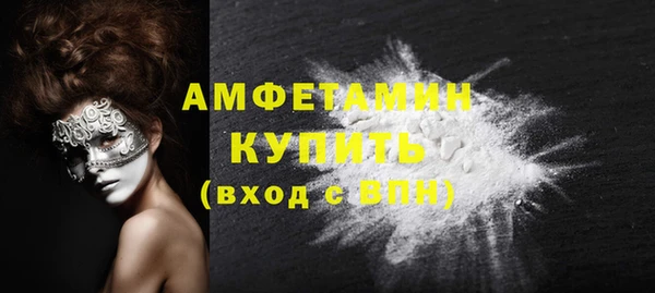 молекула духа Козельск