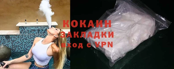молекула духа Козельск