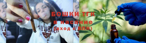 молекула духа Козельск