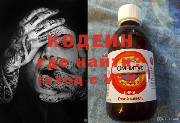молекула духа Козельск