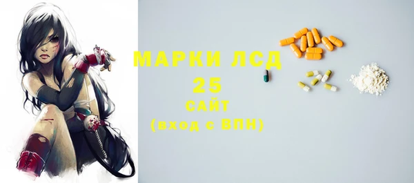 молекула духа Козельск